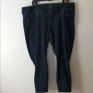 Torrid Blue Jean Jeggings